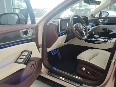 Hongqi Hongqi H9