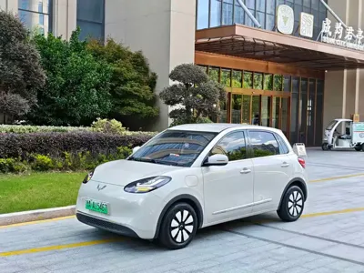 Wuling Bingo