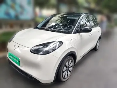 Wuling Bingo