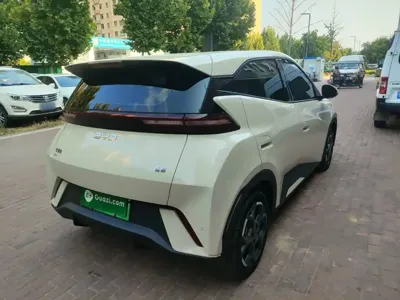BYD Seagull