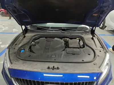 Geely Borui
