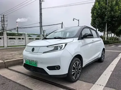 Dongfeng EV YOUNG Guang Xiaoxin