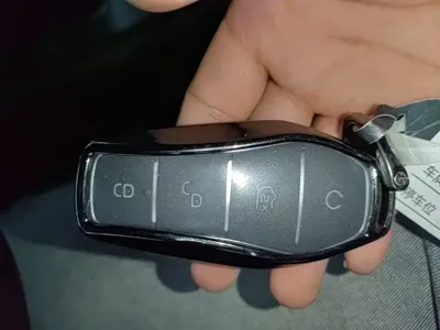 BYD MAX New Energy