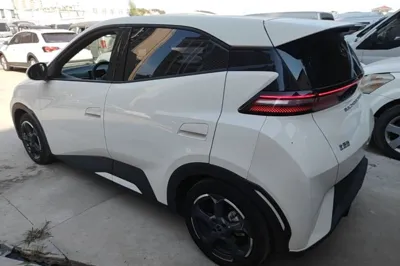 BYD Seagull