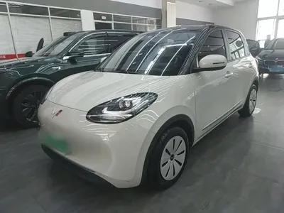 Wuling Bingo