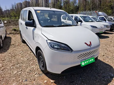 Wuling Hongguang New Energy