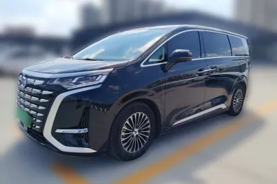 Denza D9