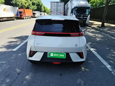 BYD Seagull