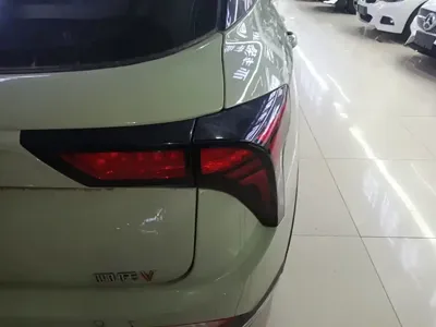 NETA Neta V