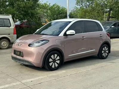 Wuling Bingo