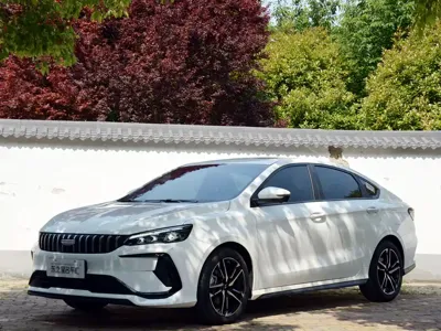 Geely Binrui