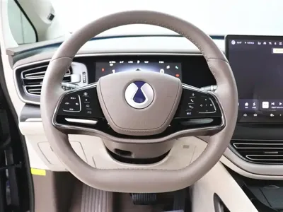 Denza Denza D9