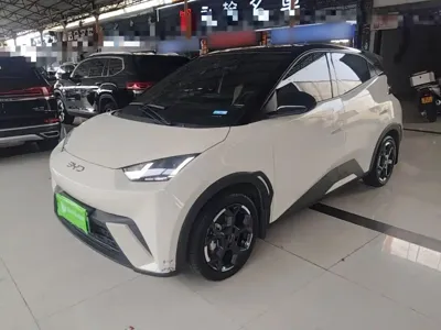 BYD Seagull