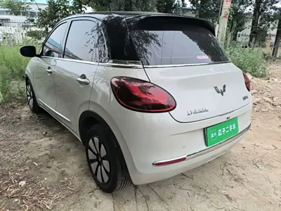 Wuling Bingo