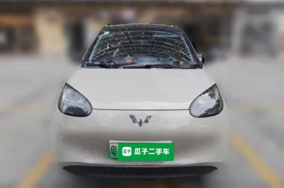 Wuling Bingo