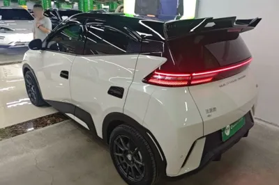 BYD Seagull