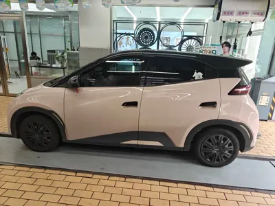 BYD Seagull