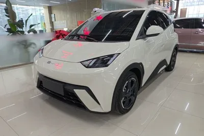 BYD Seagull