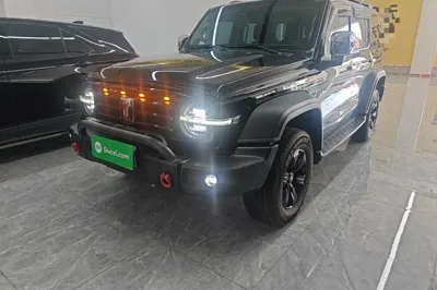 Tank 300