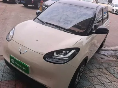 Wuling Bingo