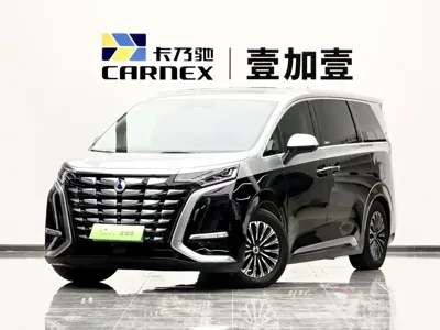 Denza Denza D9
