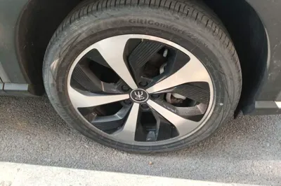 BYD Song PLUS New Energy