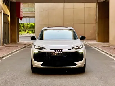 Audi 奥迪Q6L e-tron