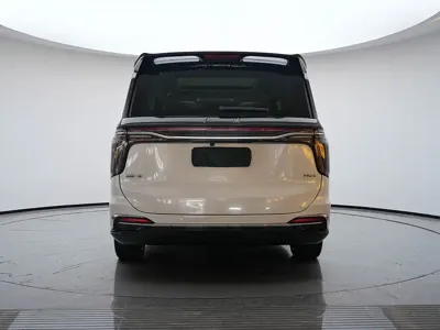 Hongqi Hongqi HQ9