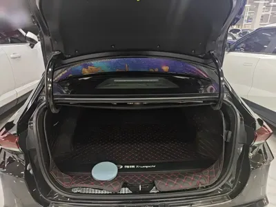 GAC Motor Shadow Leopard