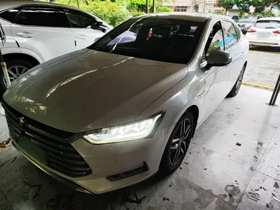BYD Qin Pro NEV