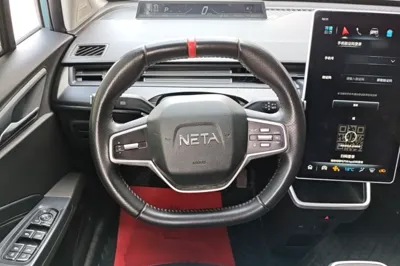 NETA V