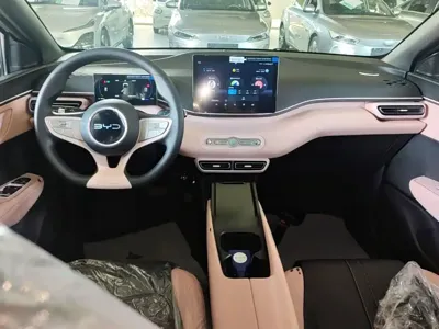 BYD Seagull