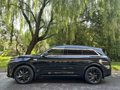 Li Auto Li L7