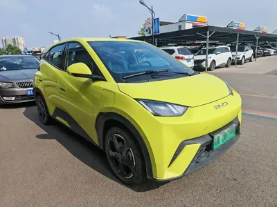 BYD Seagull