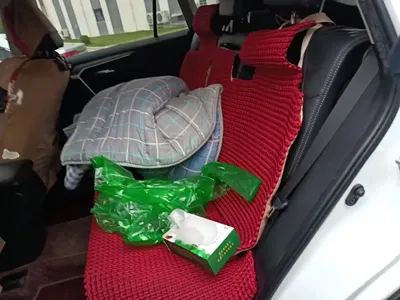 Toyota Wildlander