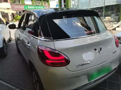 Wuling Bingo