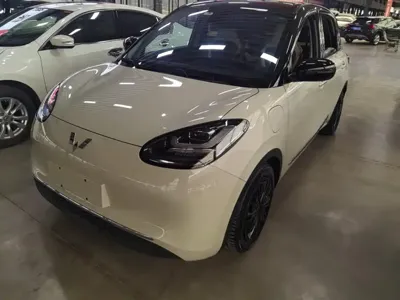 Wuling Bingo