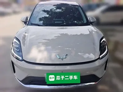 Wuling 缤果S