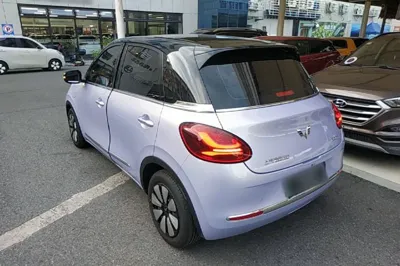 Wuling Bingo