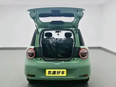 Qiyuan Lumin