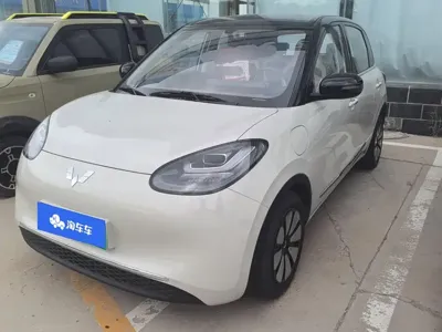 Wuling Bingo