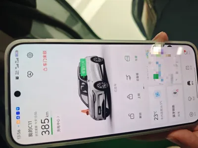 Leapmotor C11