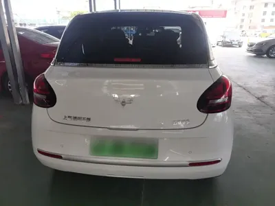 Wuling Bingo