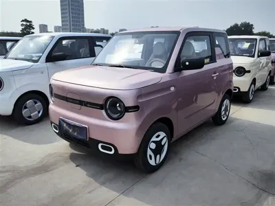 Galaxy Panda
