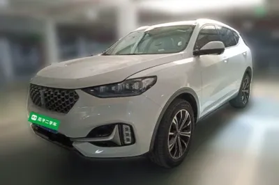 WEY VV6