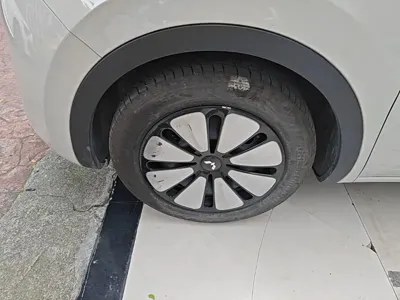 Wuling Bingo