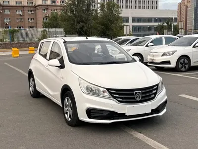 Baojun 310