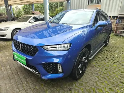 WEY Wey VV7