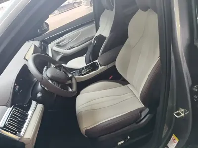 BYD PLUS New Energy