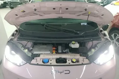 BYD Seagull